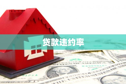 根河贷款违约率