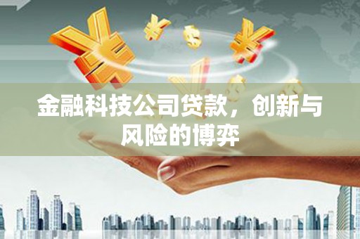 根河金融科技公司贷款，创新与风险的博弈