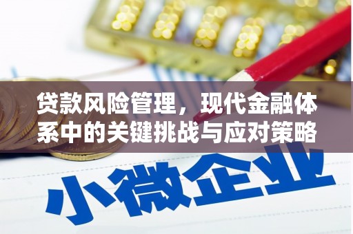 根河贷款风险管理，现代金融体系中的关键挑战与应对策略