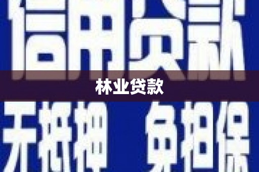 根河林业贷款