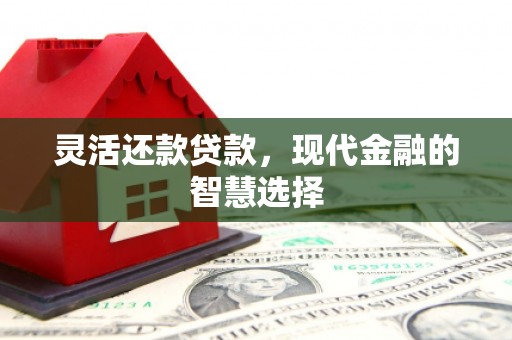 根河灵活还款贷款，现代金融的智慧选择