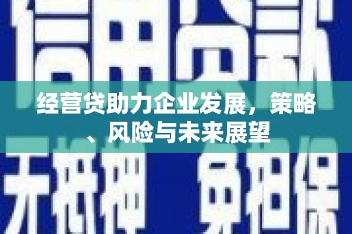 根河经营贷助力企业发展，策略、风险与未来展望
