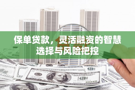 根河保单贷款，灵活融资的智慧选择与风险把控