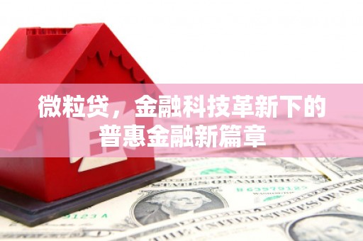 根河微粒贷，金融科技革新下的普惠金融新篇章