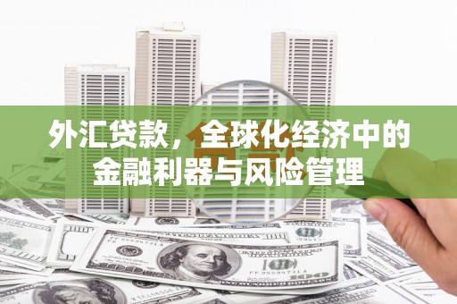 根河外汇贷款，全球化经济中的金融利器与风险管理