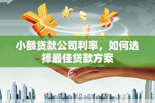 根河小额贷款公司利率，如何选择最佳贷款方案