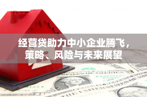 根河经营贷助力中小企业腾飞，策略、风险与未来展望