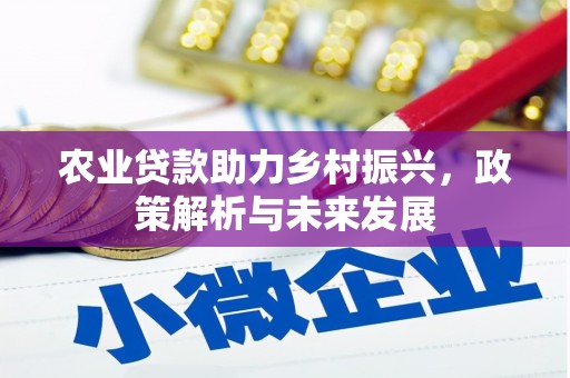根河农业贷款助力乡村振兴，政策解析与未来发展