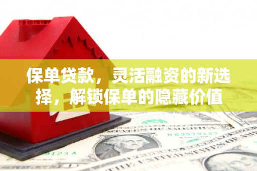 根河保单贷款，灵活融资的新选择，解锁保单的隐藏价值