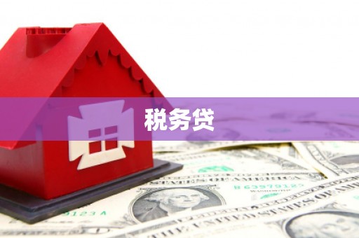 根河税务贷