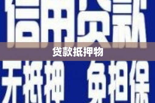 根河贷款抵押物