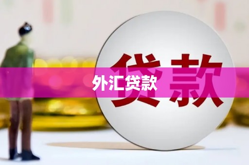 根河外汇贷款