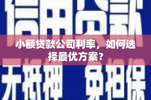 根河小额贷款公司利率，如何选择最优方案？