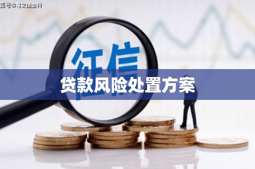 根河贷款风险处置方案