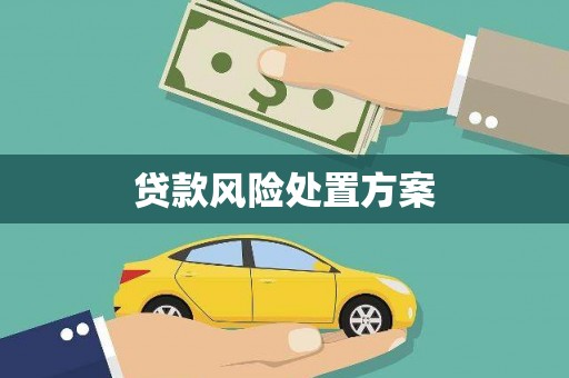 根河贷款风险处置方案
