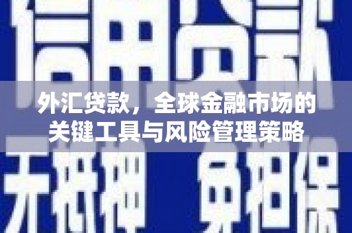 根河外汇贷款，全球金融市场的关键工具与风险管理策略