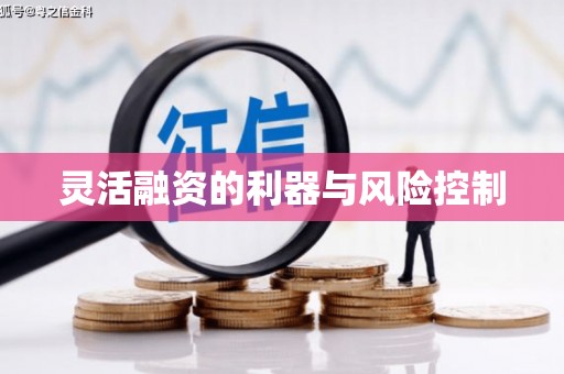 根河灵活融资的利器与风险控制
