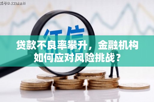 根河贷款不良率攀升，金融机构如何应对风险挑战？