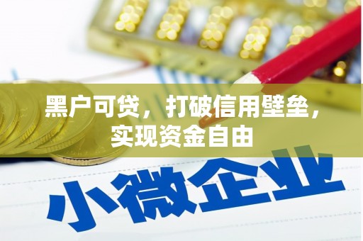 根河黑户可贷，打破信用壁垒，实现资金自由
