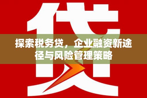 根河探索税务贷，企业融资新途径与风险管理策略
