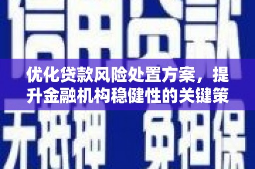 根河优化贷款风险处置方案，提升金融机构稳健性的关键策略