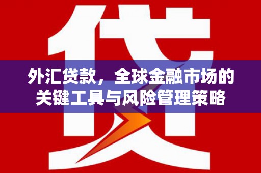 根河外汇贷款，全球金融市场的关键工具与风险管理策略