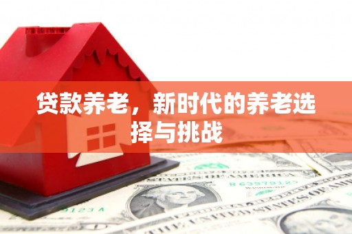 根河贷款养老，新时代的养老选择与挑战