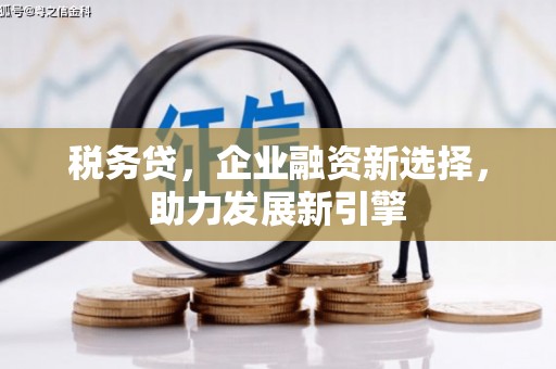 根河税务贷，企业融资新选择，助力发展新引擎