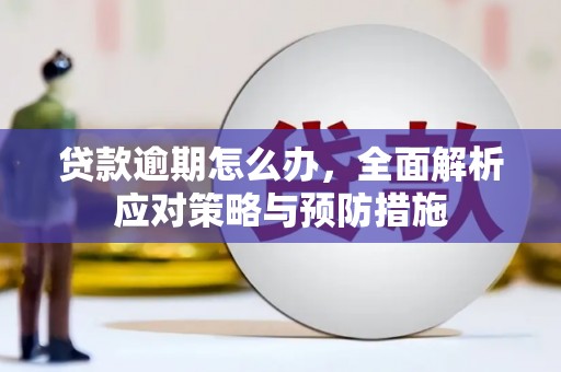 根河贷款逾期怎么办，全面解析应对策略与预防措施
