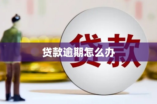 根河贷款逾期怎么办