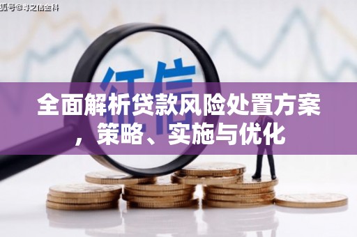 根河全面解析贷款风险处置方案，策略、实施与优化