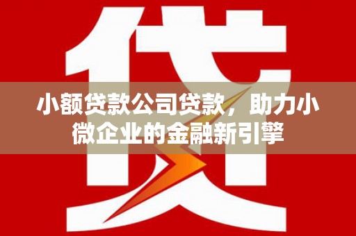 根河小额贷款公司贷款，助力小微企业的金融新引擎