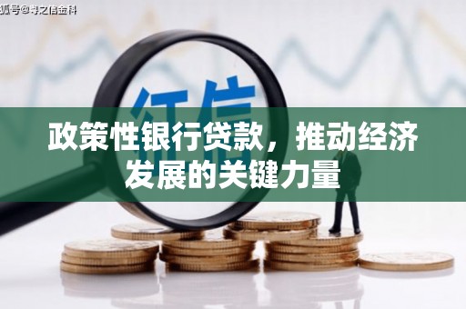 根河政策性银行贷款，推动经济发展的关键力量