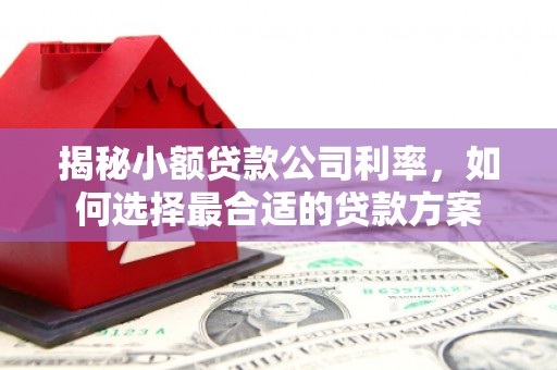 根河揭秘小额贷款公司利率，如何选择最合适的贷款方案