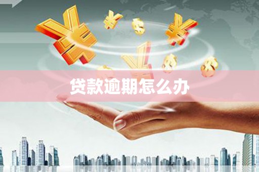 根河贷款逾期怎么办