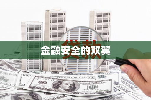 根河金融安全的双翼