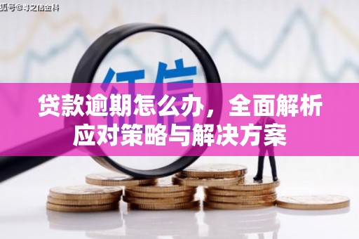 根河贷款逾期怎么办，全面解析应对策略与解决方案
