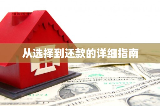 根河从选择到还款的详细指南