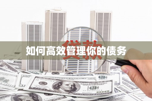 根河如何高效管理你的债务