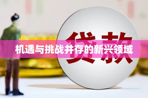 根河机遇与挑战并存的新兴领域