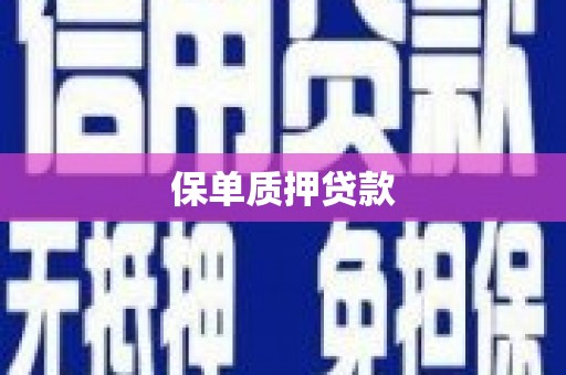 根河保单质押贷款