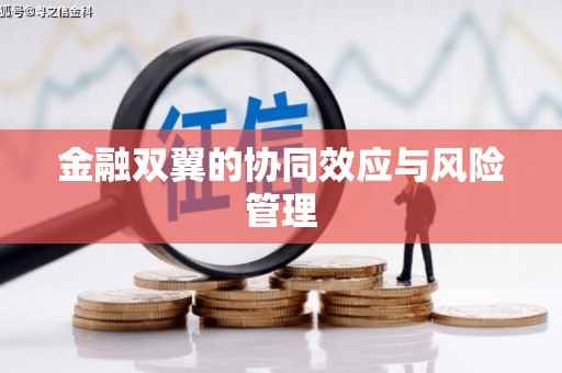根河金融双翼的协同效应与风险管理