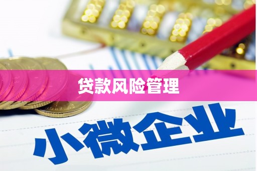 根河贷款风险管理